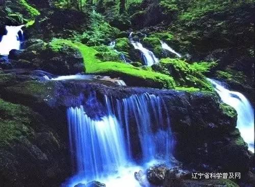 史提芬填色书